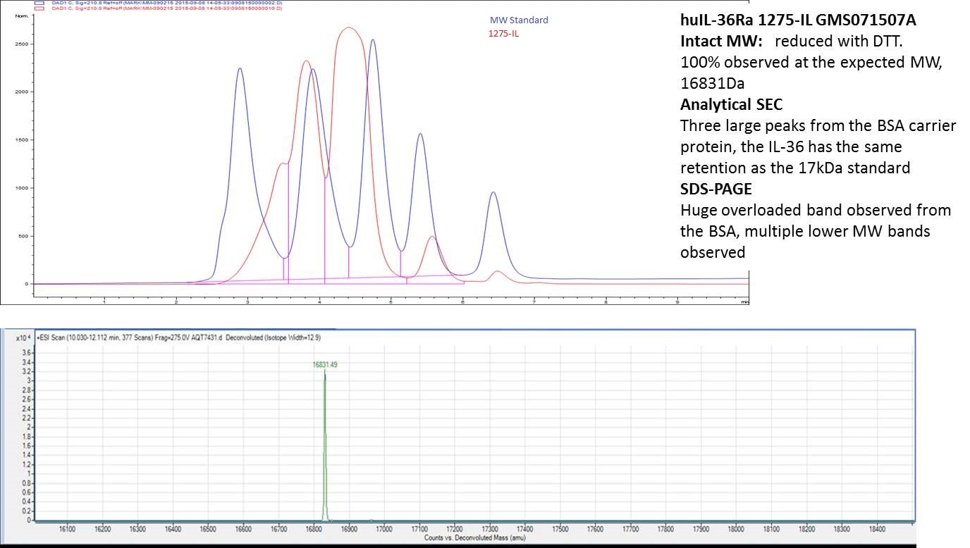 Recombinant Human IL-36Ra/IL-1F5 Protein 1275-IL